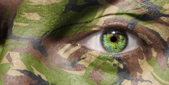 Niveau 3 : La Maîtrise